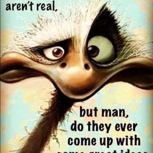 Meet your Posher, Teresa (terri)